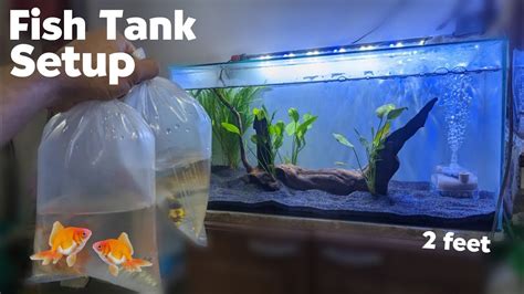 Fishtank: Fishtank 2 .